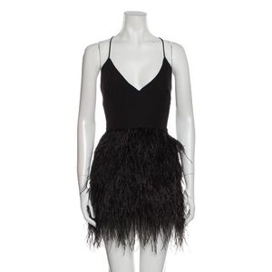 Milly size 10 ostrich feather dress.